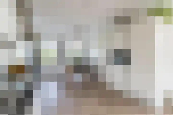 2de Poortstraat 7 Hoef en Haag thumbnail 15