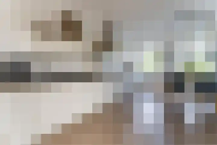 2de Poortstraat 7 Hoef en Haag thumbnail 18