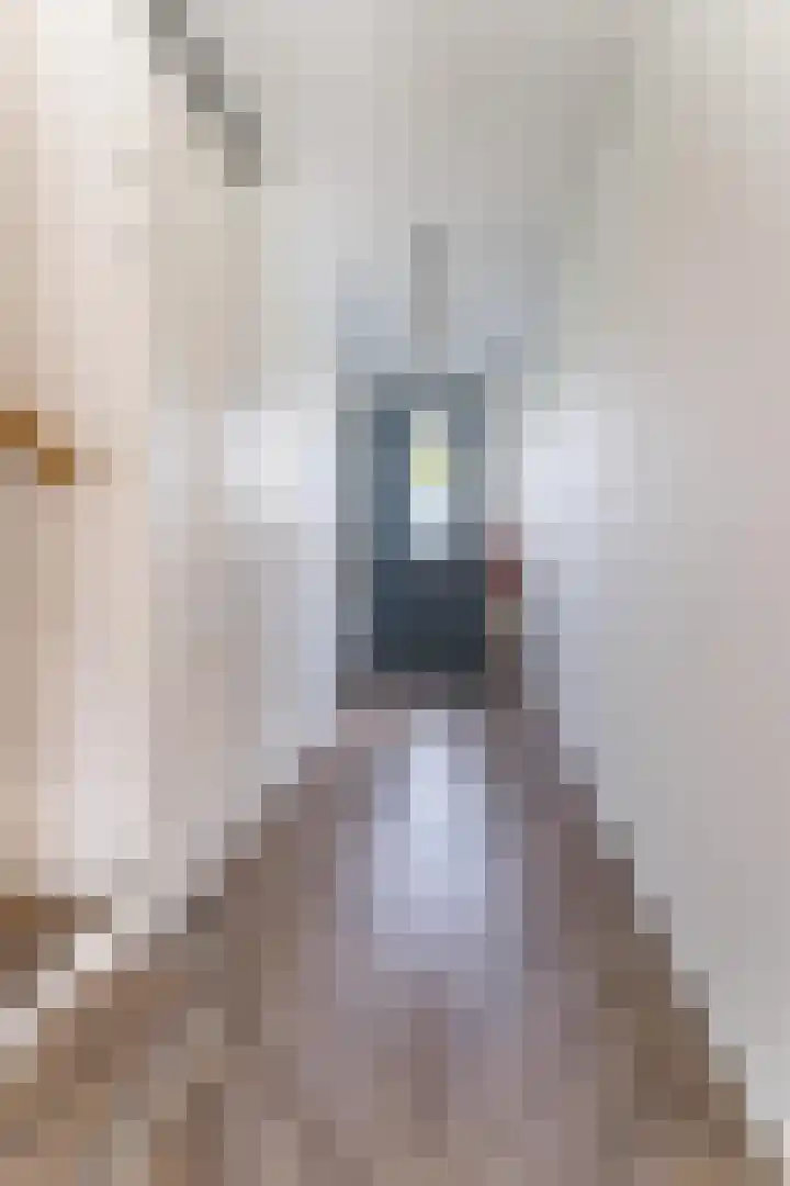 2de Poortstraat 7 Hoef en Haag thumbnail 20
