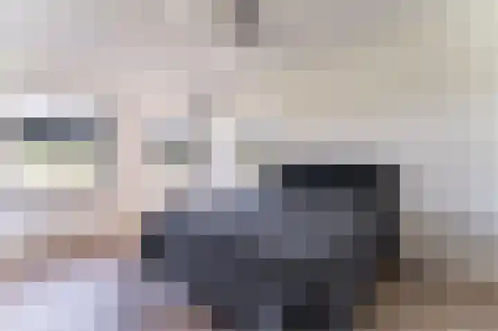 2de Poortstraat 7 Hoef en Haag thumbnail 22