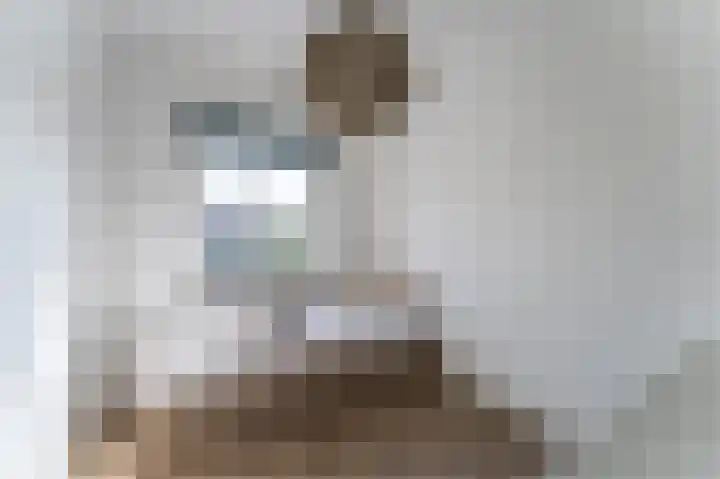 2de Poortstraat 7 Hoef en Haag thumbnail 25