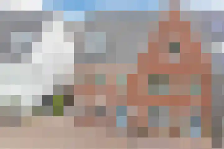 2de Poortstraat 7 Hoef en Haag thumbnail 4