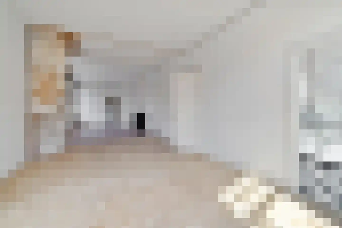 2e Antonie Heinsiusstraat 69 Den Haag thumbnail 20