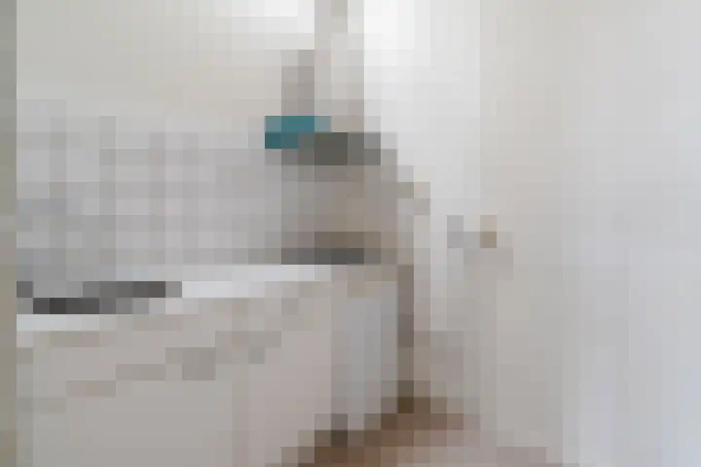 2e Antonie Heinsiusstraat 69 Den Haag thumbnail 36