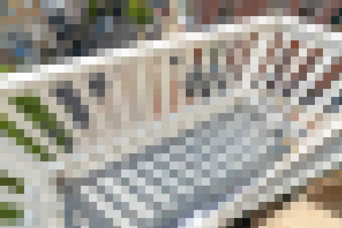 2e Antonie Heinsiusstraat 69 Den Haag thumbnail 9