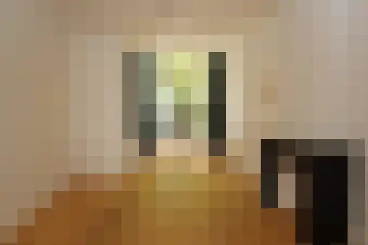 2e Antonie Heinsiusstraat 76 Den Haag thumbnail 4