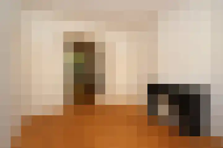 2e Antonie Heinsiusstraat 76 Den Haag thumbnail 7