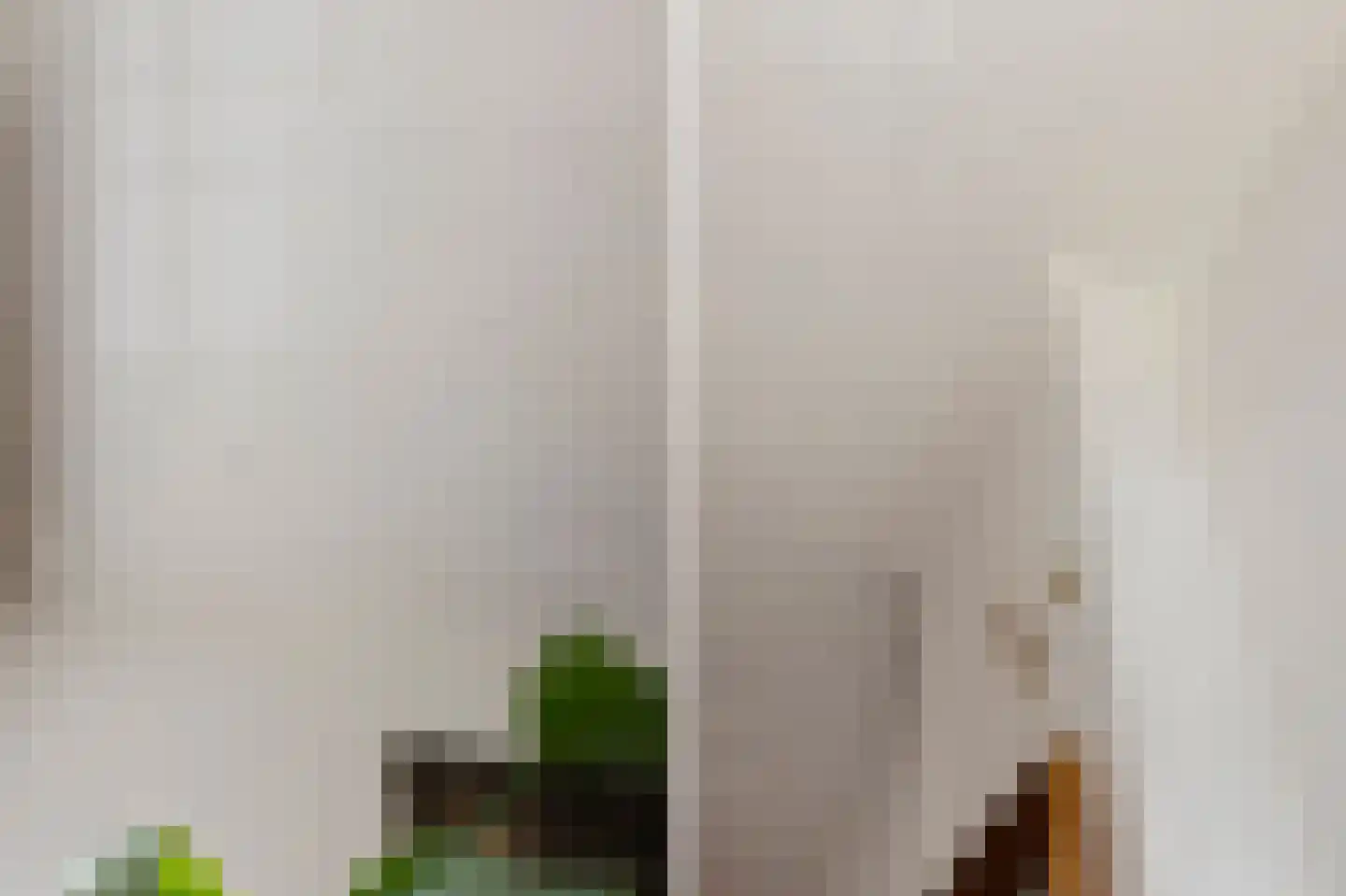 2e Antonie Heinsiusstraat 89 Den Haag thumbnail 17