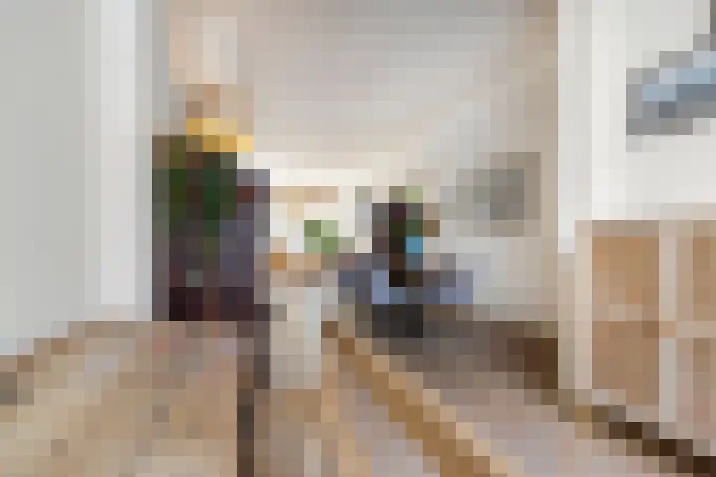 2e Antonie Heinsiusstraat 89 Den Haag thumbnail 21