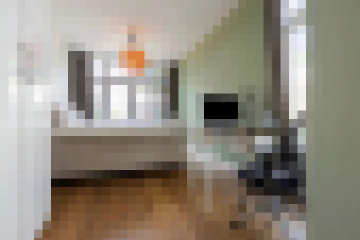 2e Antonie Heinsiusstraat 89 Den Haag thumbnail 29
