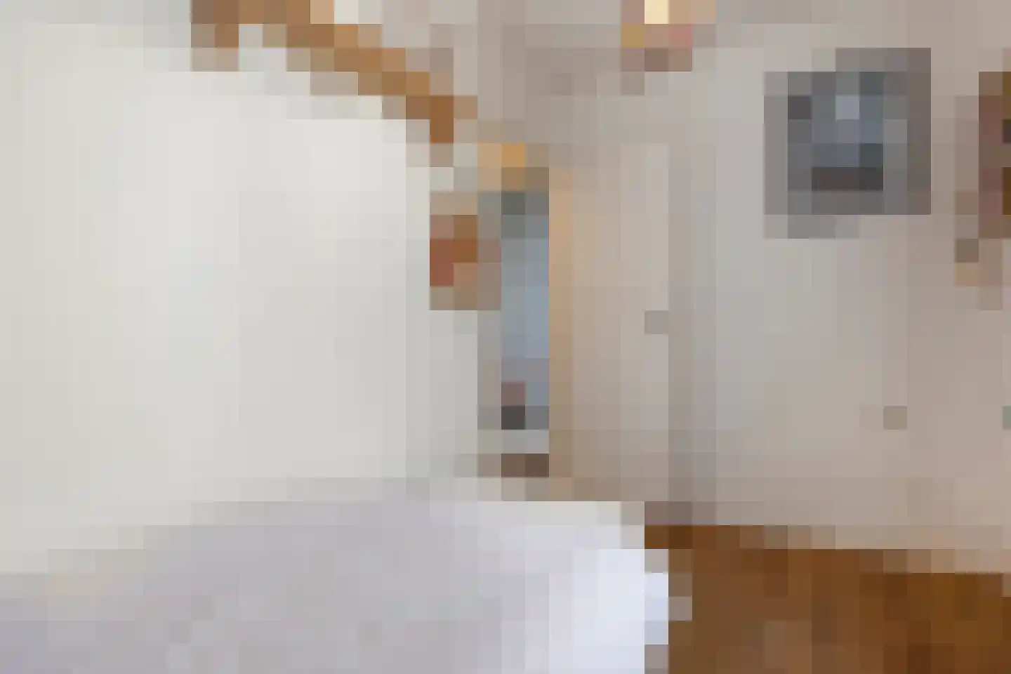 2e Antonie Heinsiusstraat 89 Den Haag thumbnail 34