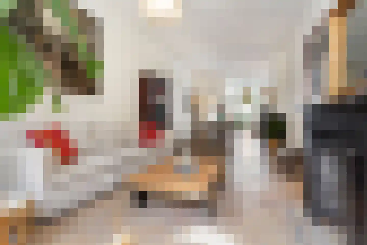 2e Antonie Heinsiusstraat 89 Den Haag thumbnail 4