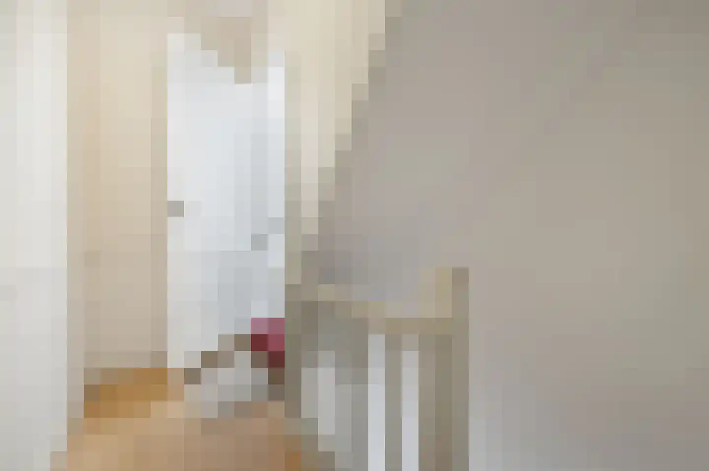 2e Antonie Heinsiusstraat 94 A Den Haag thumbnail 5