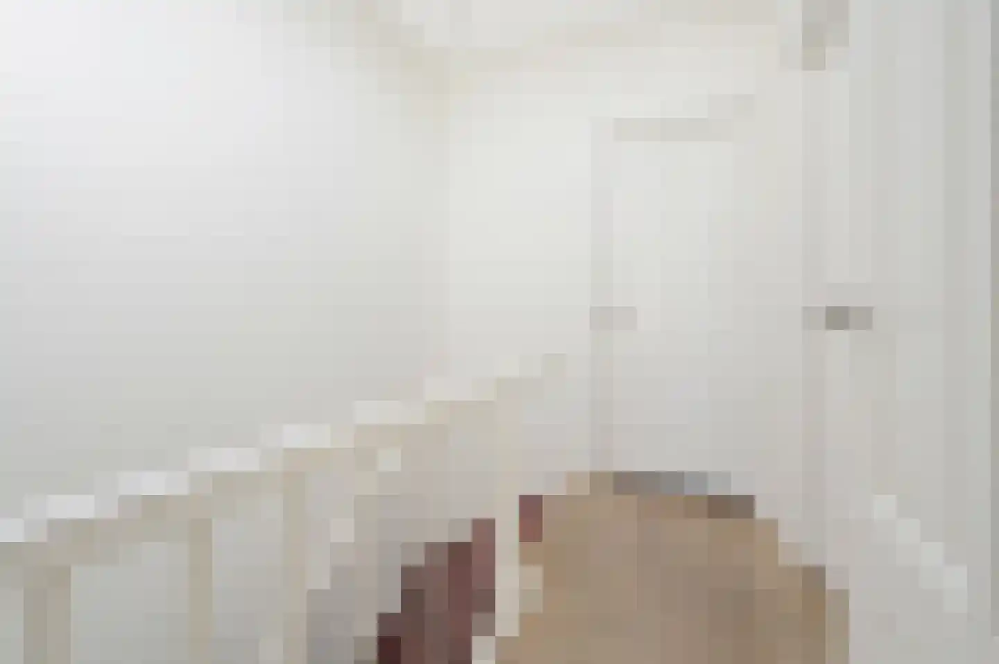 2e Antonie Heinsiusstraat 94 A Den Haag thumbnail 6