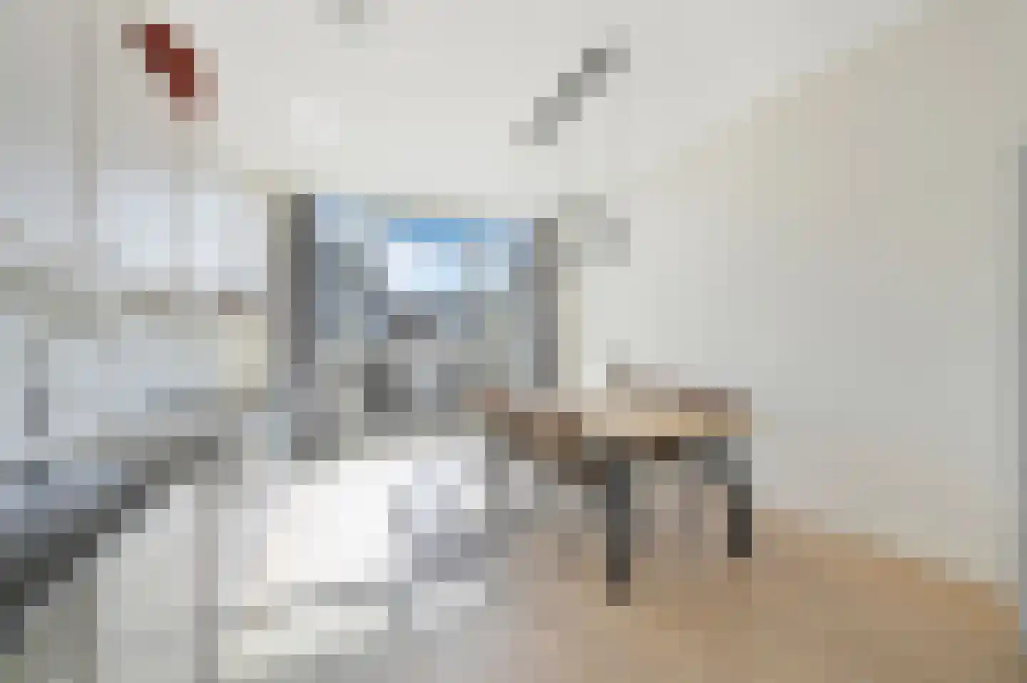 2e Antonie Heinsiusstraat 94 A Den Haag thumbnail 8