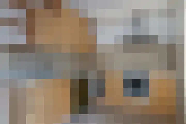 2e Atjehstraat 38 Utrecht thumbnail 12