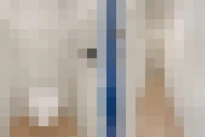 2e Atjehstraat 49 Utrecht thumbnail 5