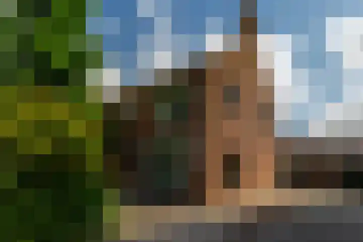 2e Barendrechtseweg 205 Barendrecht thumbnail 6