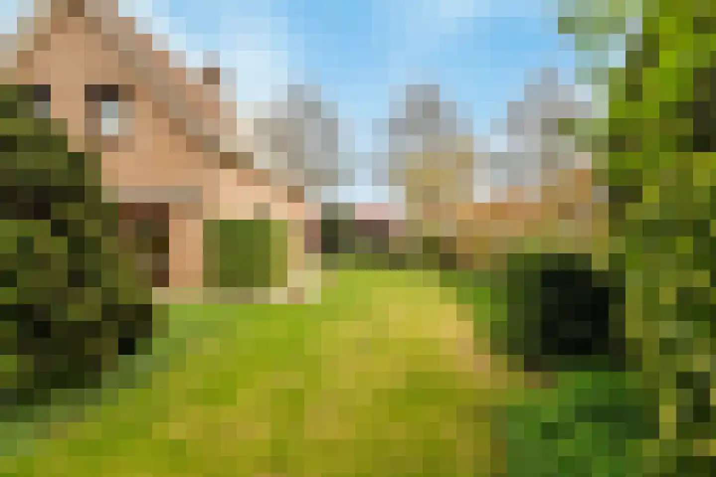 2e Barendrechtseweg 258 Barendrecht thumbnail 42