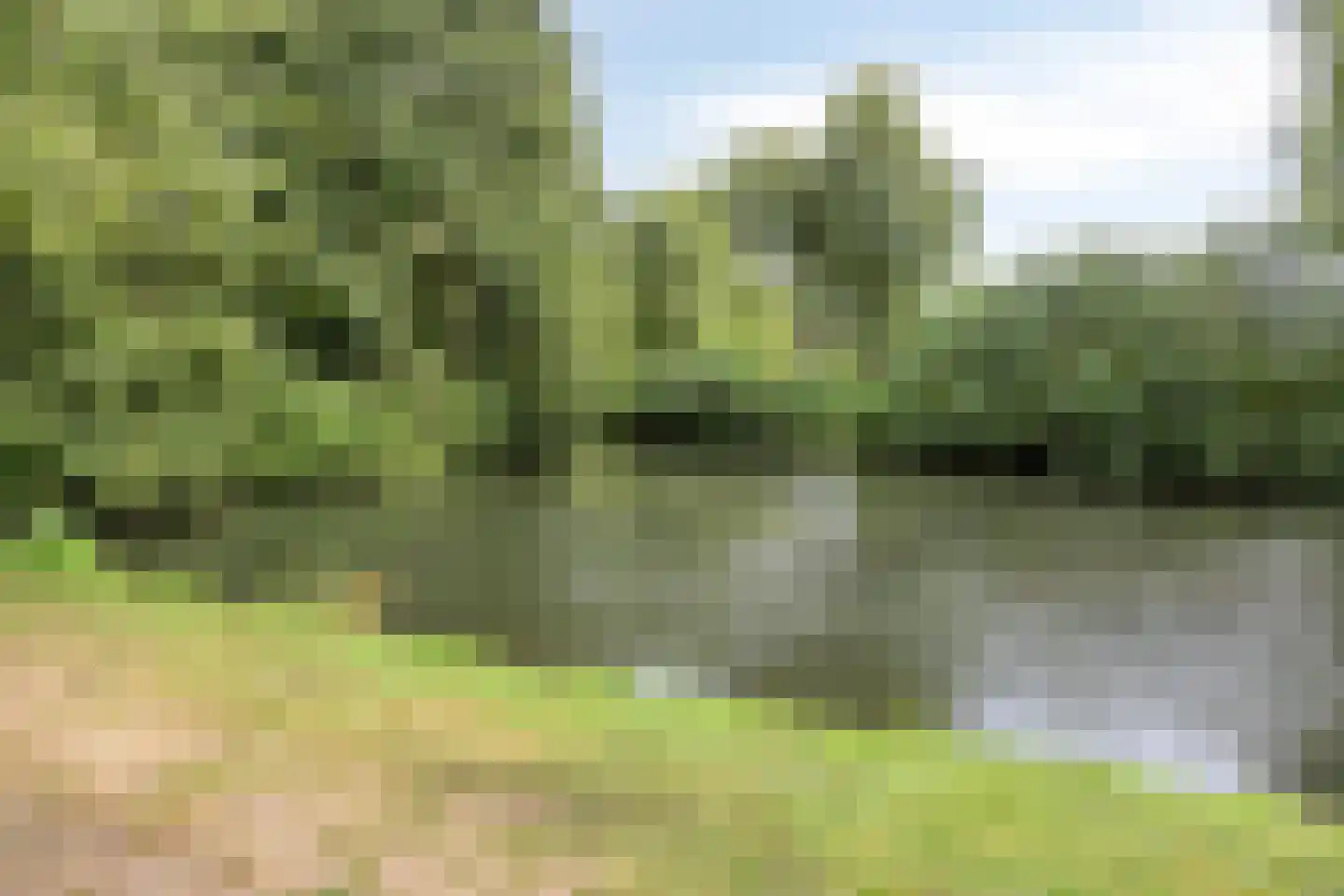 2e Barendrechtseweg 294 Barendrecht thumbnail 43