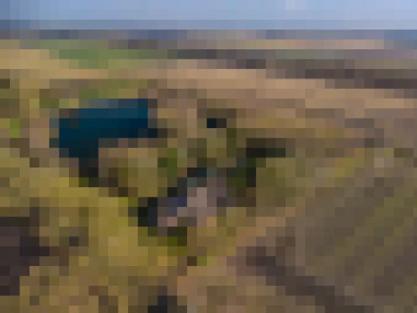2e Barlagerweg 18 Onstwedde thumbnail 10