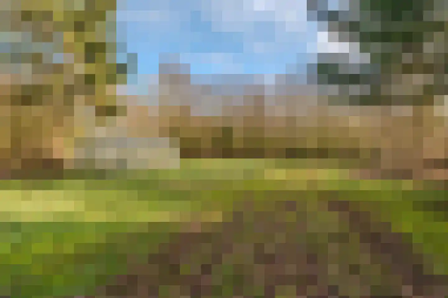 2e Barlagerweg 18 Onstwedde thumbnail 16