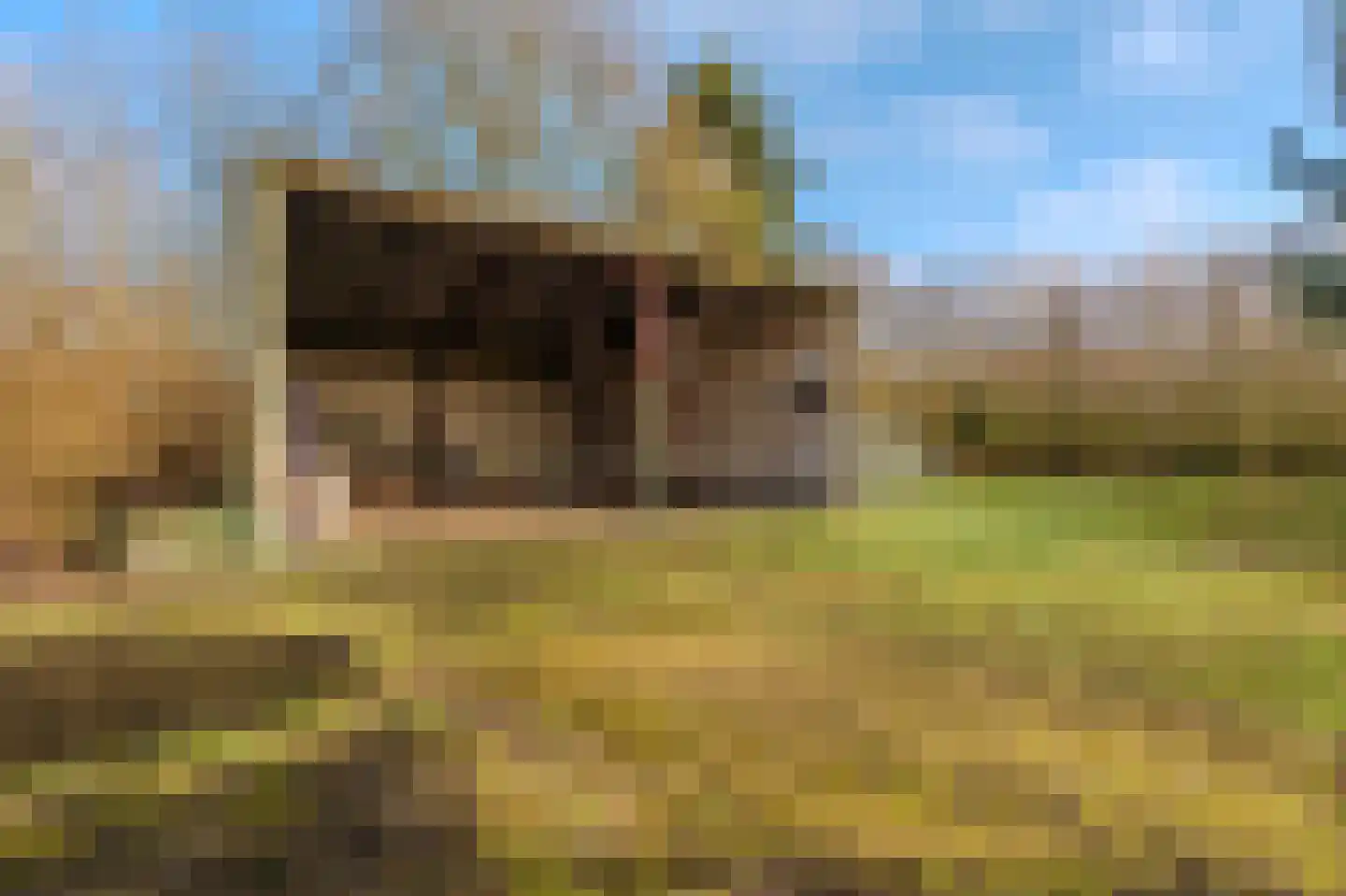 2e Barlagerweg 18 Onstwedde thumbnail 17