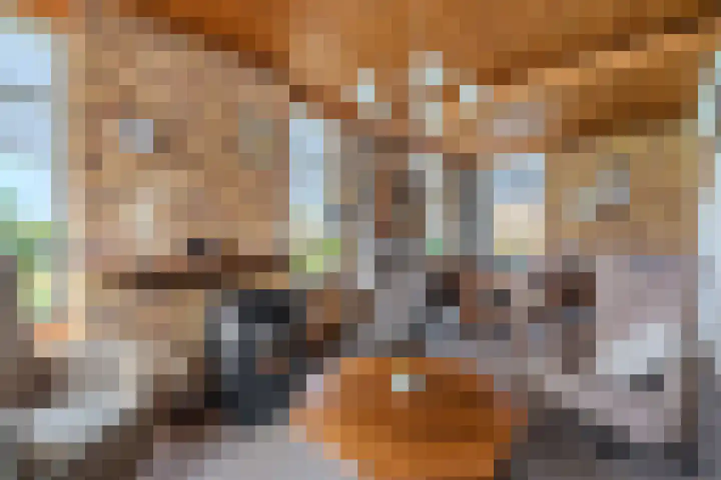 2e Barlagerweg 18 Onstwedde thumbnail 28