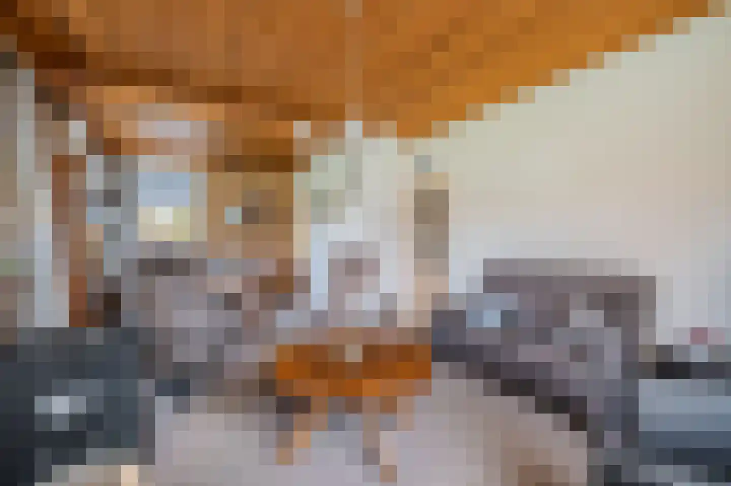 2e Barlagerweg 18 Onstwedde thumbnail 29