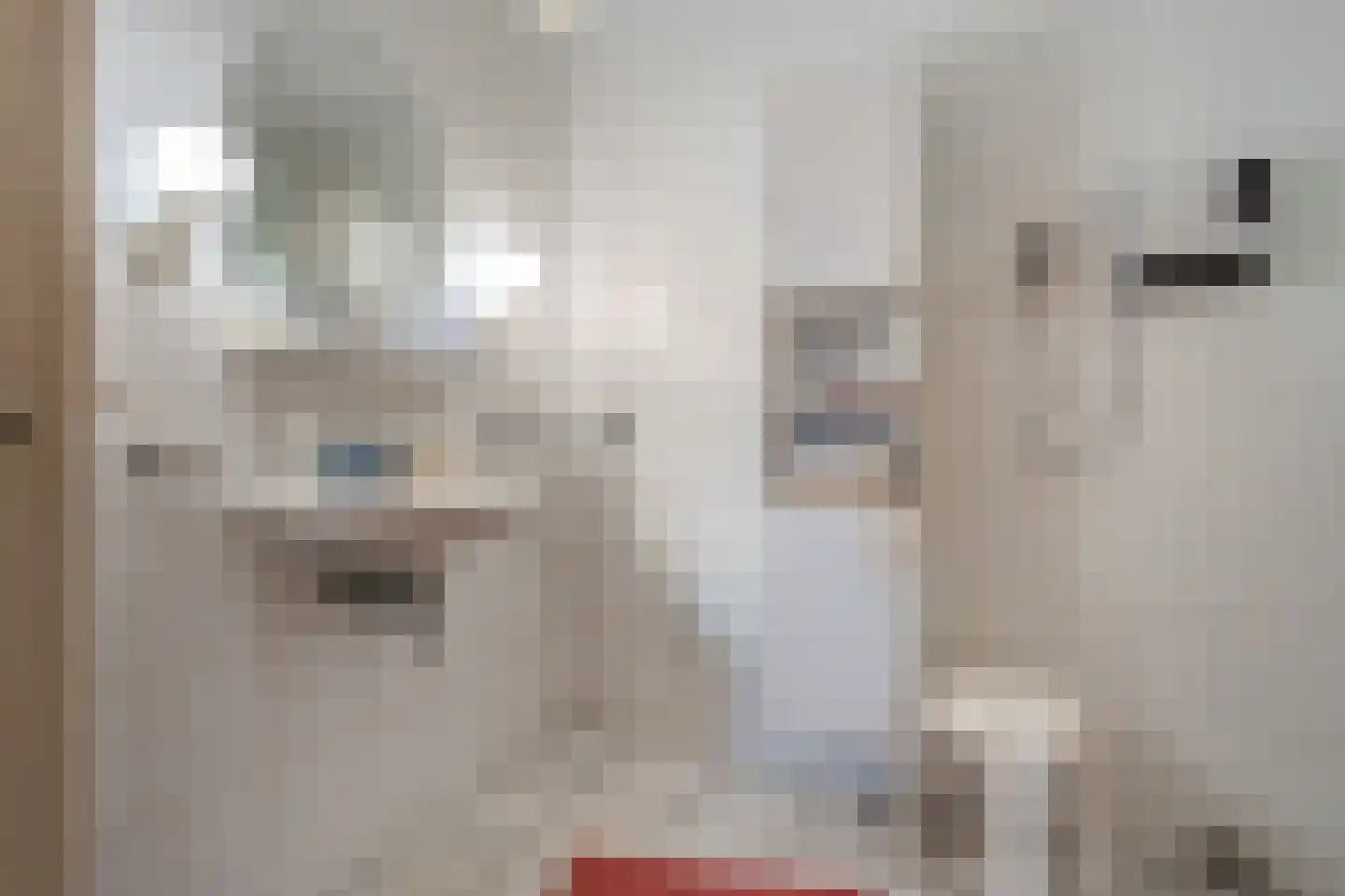2e Barlagerweg 18 Onstwedde thumbnail 33