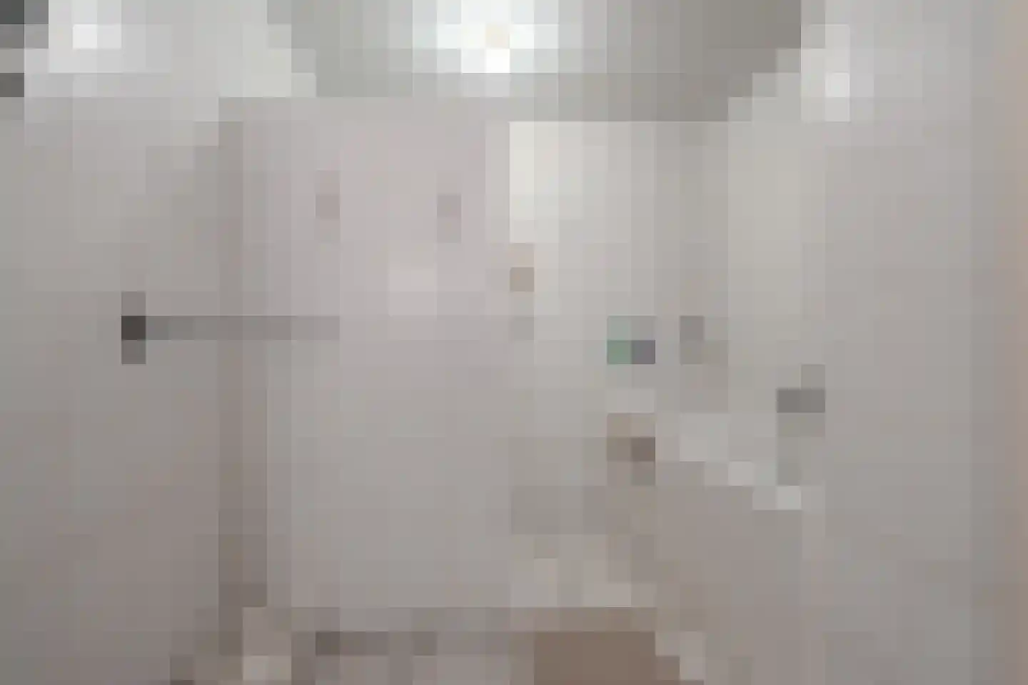 2e Barlagerweg 18 Onstwedde thumbnail 34