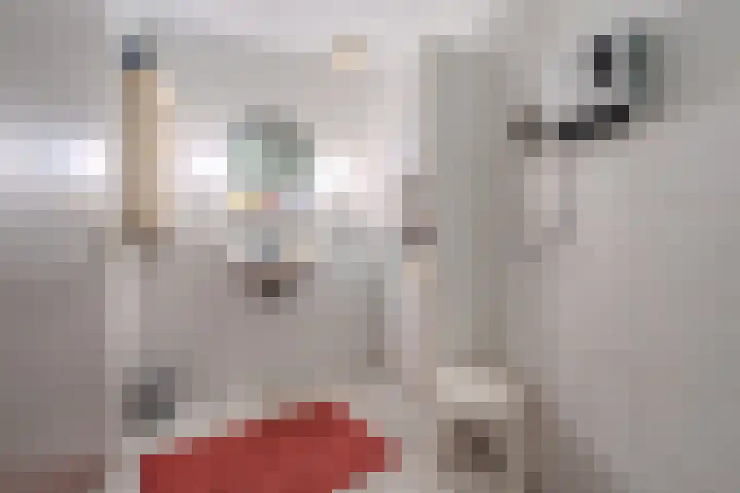 2e Barlagerweg 18 Onstwedde thumbnail 36