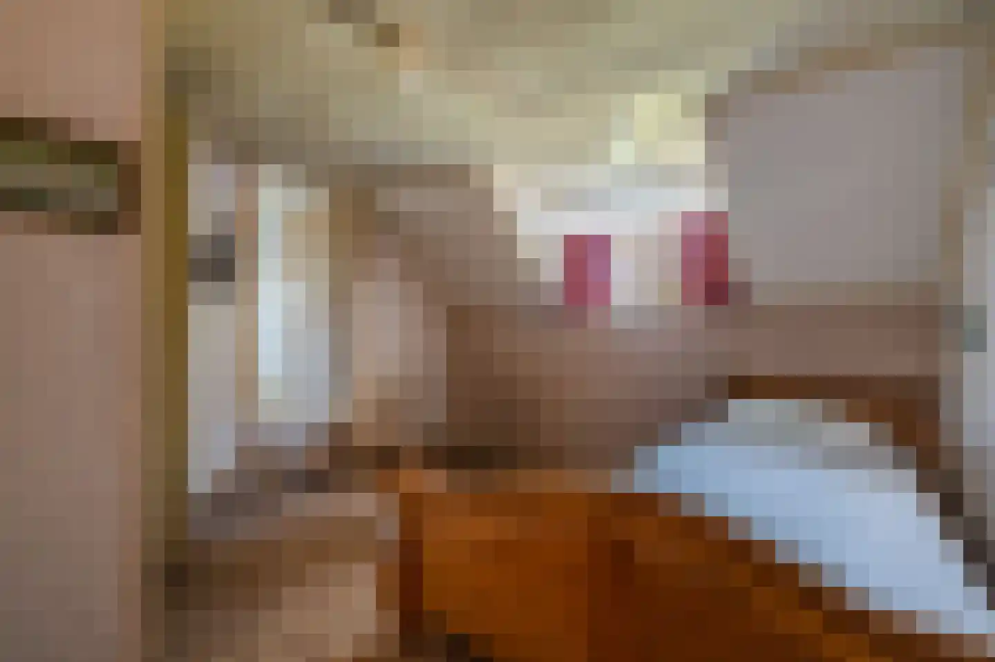 2e Barlagerweg 18 Onstwedde thumbnail 41