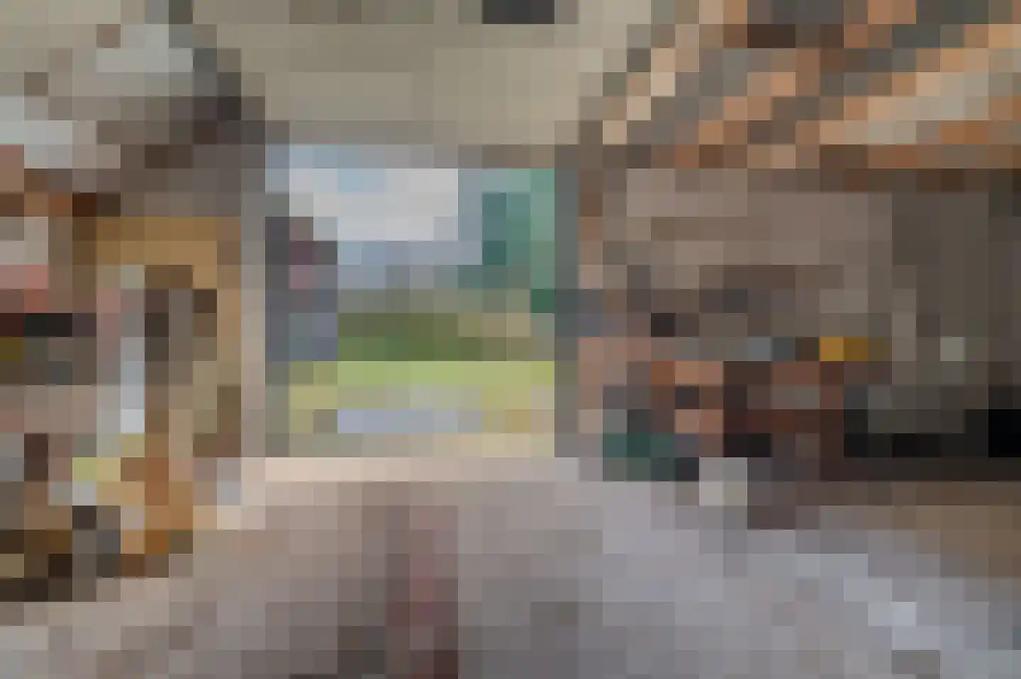 2e Barlagerweg 18 Onstwedde thumbnail 45
