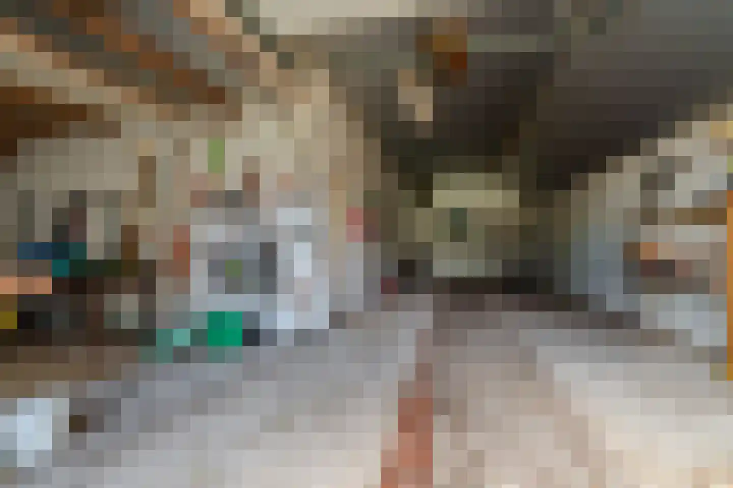 2e Barlagerweg 18 Onstwedde thumbnail 46