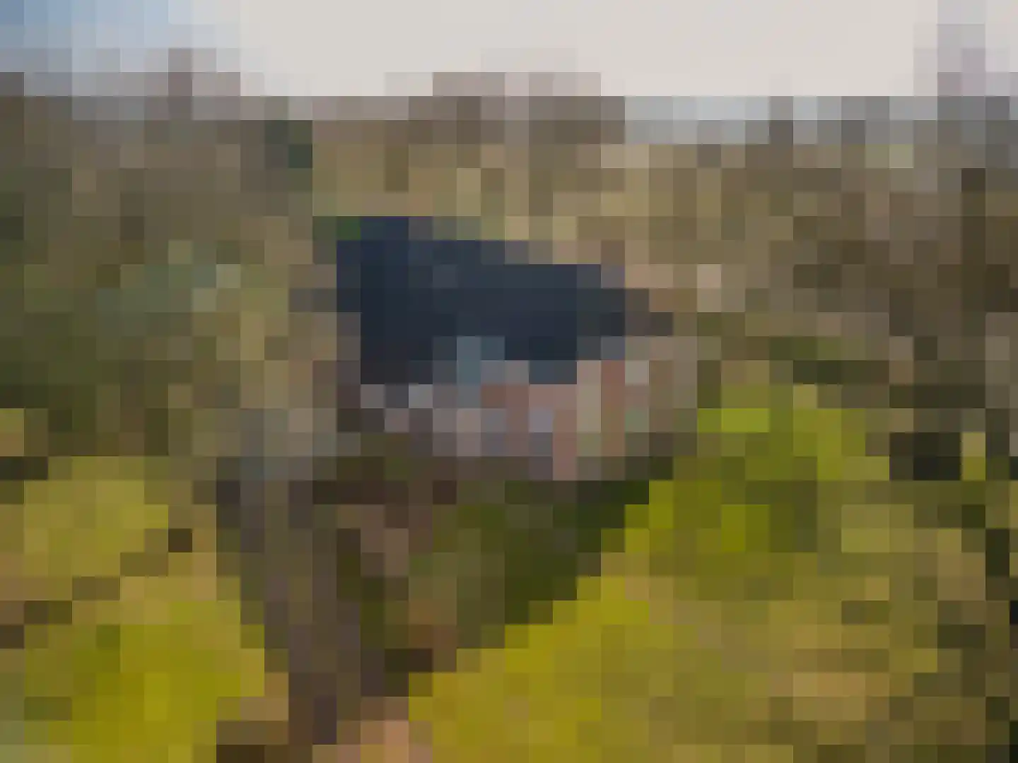 2e Barlagerweg 18 Onstwedde thumbnail 6
