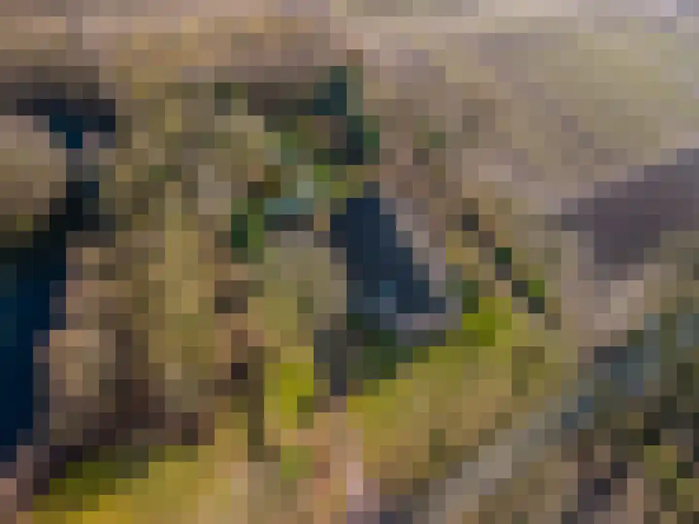 2e Barlagerweg 18 Onstwedde thumbnail 7