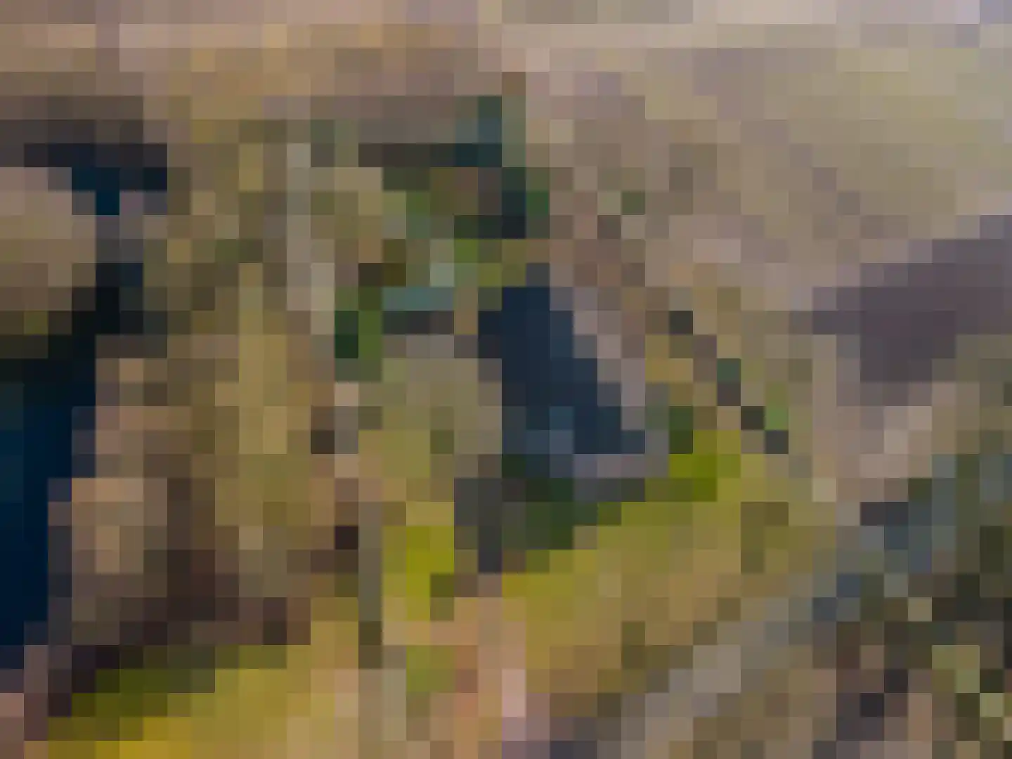 2e Barlagerweg 18 Onstwedde thumbnail 8