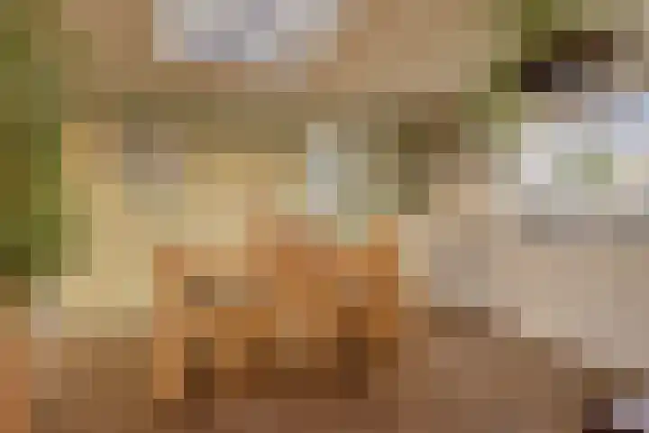 2e Barlagerweg 20 Onstwedde thumbnail 16