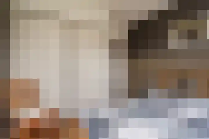 2e Barlagerweg 20 Onstwedde thumbnail 31