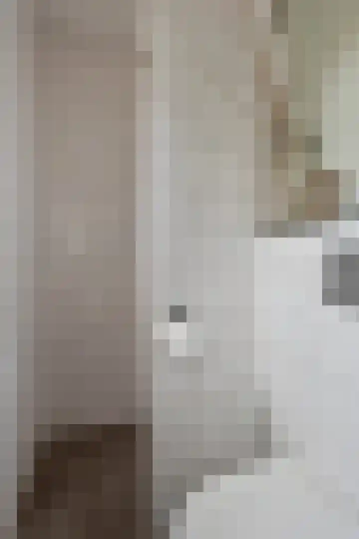 2e Barlagerweg 20 Onstwedde thumbnail 33