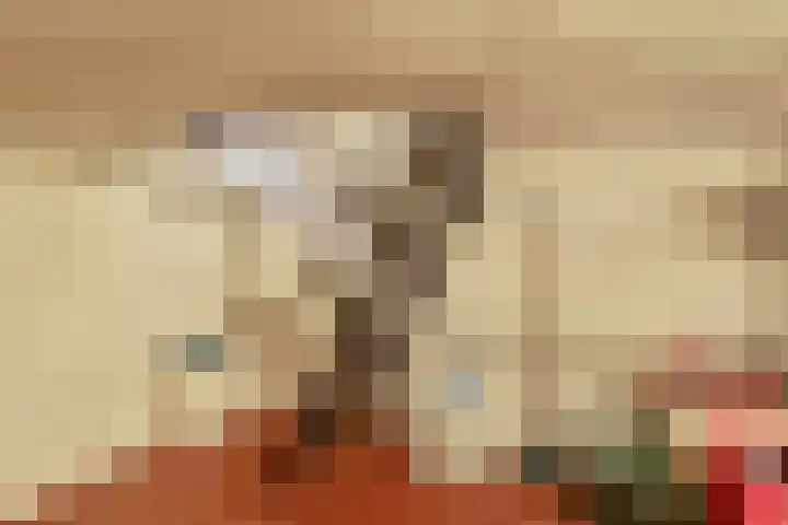 2e Barlagerweg 20 Onstwedde thumbnail 36