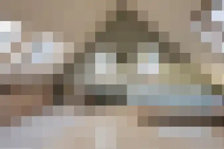 2e Barlagerweg 20 Onstwedde thumbnail 38