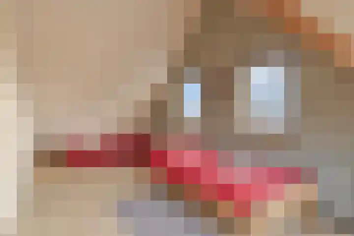 2e Barlagerweg 20 Onstwedde thumbnail 41