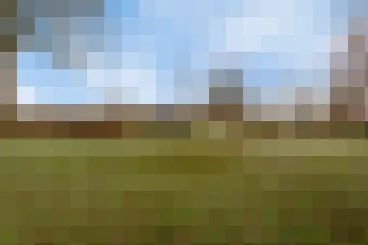 2e Barlagerweg 20 Onstwedde thumbnail 43