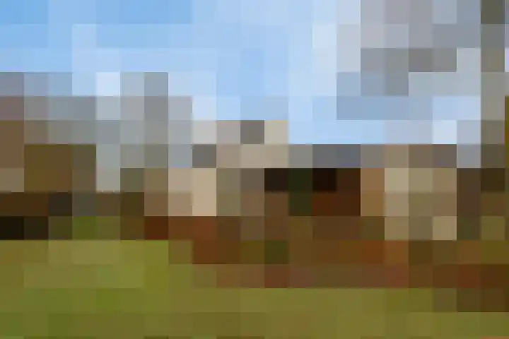 2e Barlagerweg 20 Onstwedde thumbnail 44