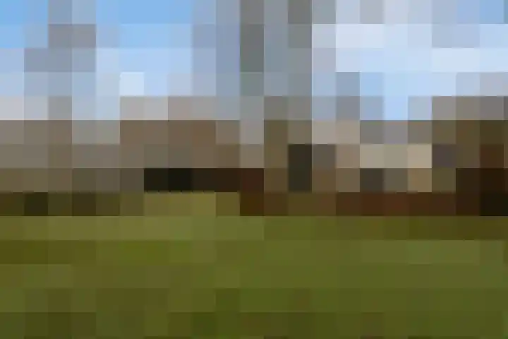 2e Barlagerweg 20 Onstwedde thumbnail 45
