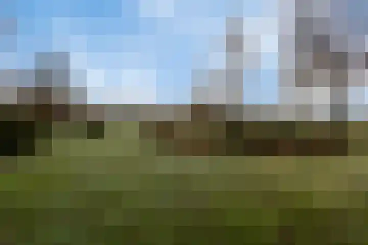 2e Barlagerweg 20 Onstwedde thumbnail 48