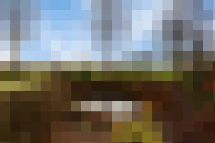 2e Barlagerweg 20 Onstwedde thumbnail 49