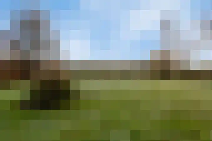 2e Barlagerweg 20 Onstwedde thumbnail 50